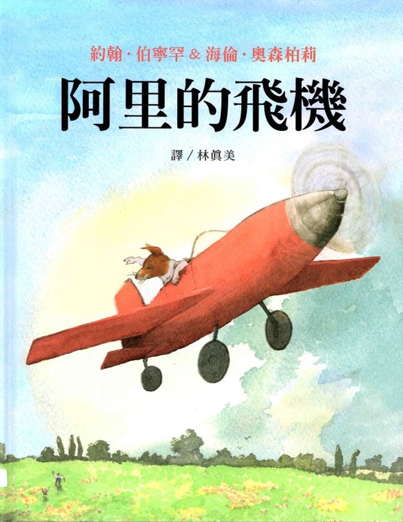 阿里的飛機的封面圖片