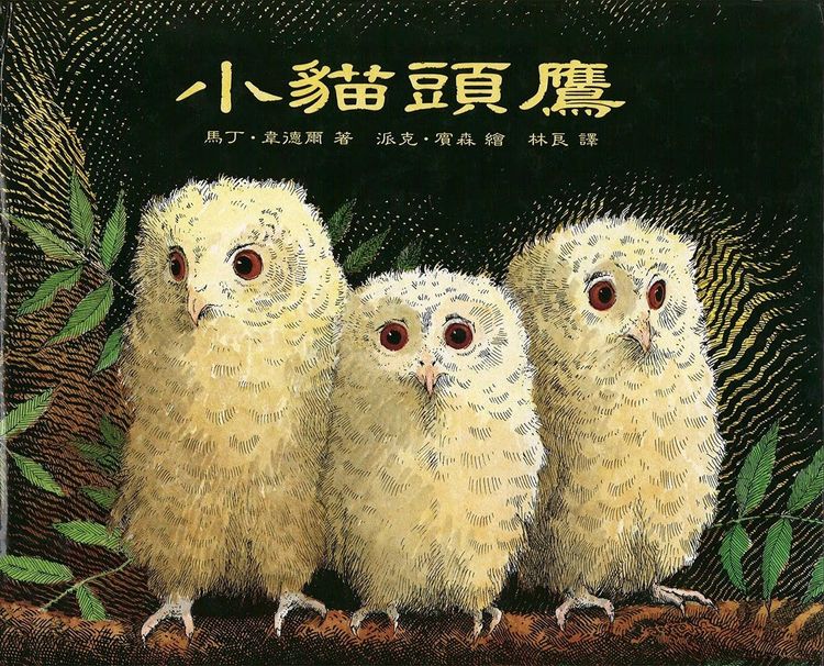 小貓頭鷹的封面圖片