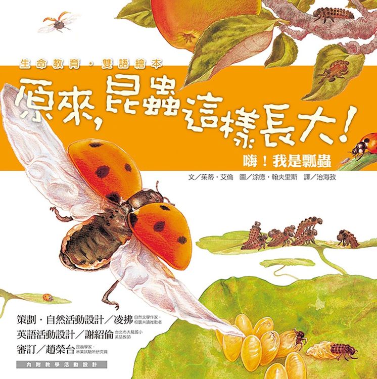 嗨！我是瓢蟲的封面圖片