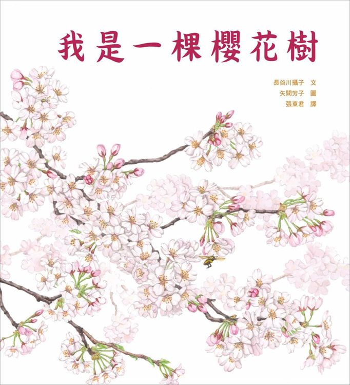 我是一棵櫻花樹的封面圖片