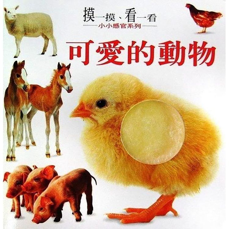 可愛的動物的封面圖片