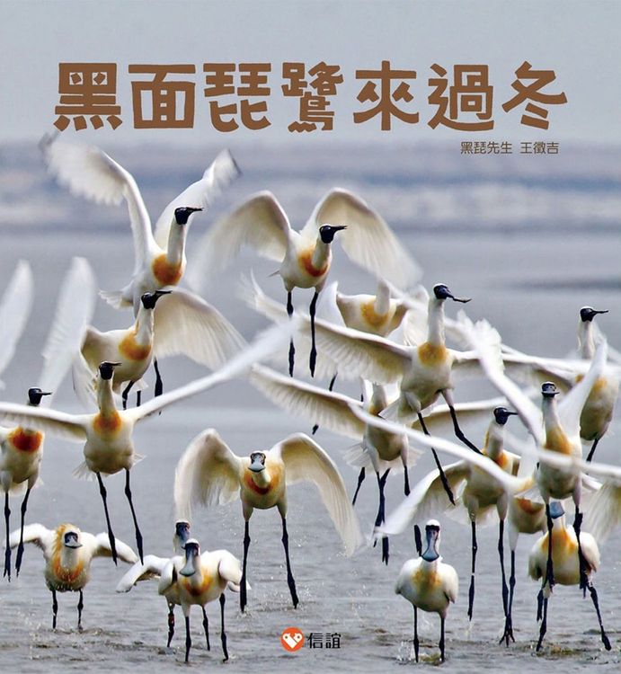 黑面琵鷺來過冬的封面圖片