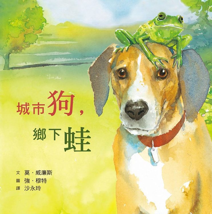 城市狗，鄉下蛙的封面圖片