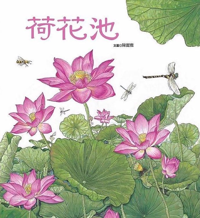 荷花池的封面圖片