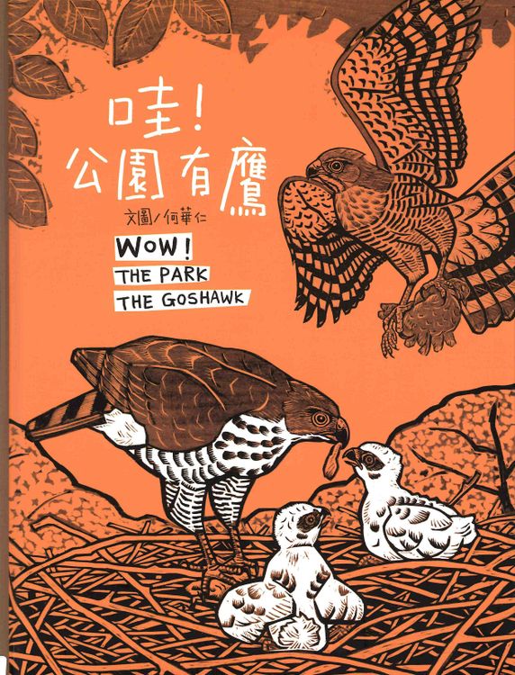 哇！公園有鷹的封面圖片