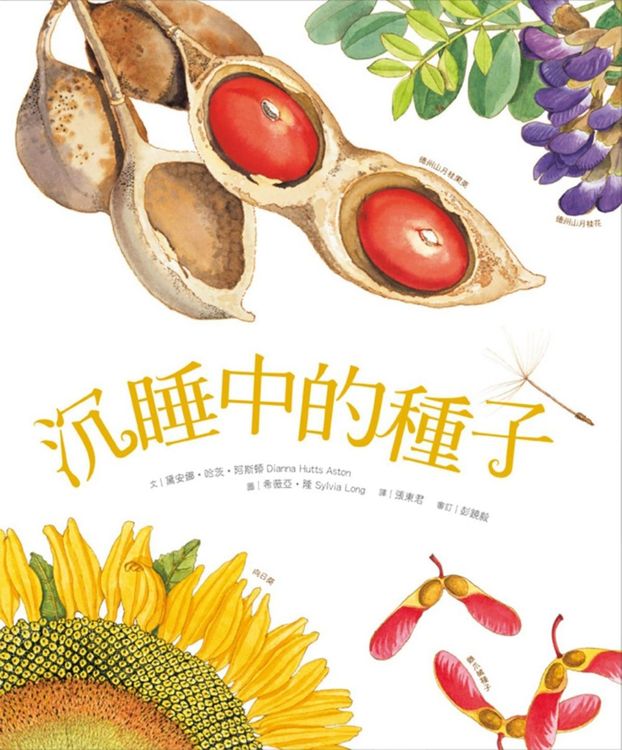沉睡中的種子的封面圖片