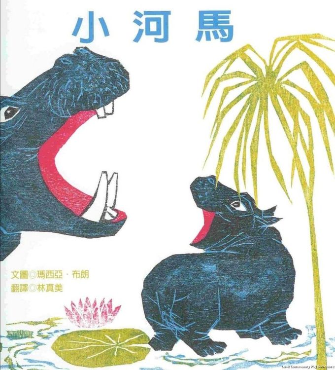小河馬的封面圖片